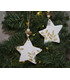 Stelle di Natale