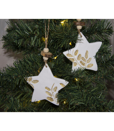 Stelle di Natale