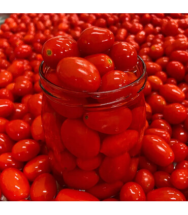 Datterino Biologico in Acqua di Mare